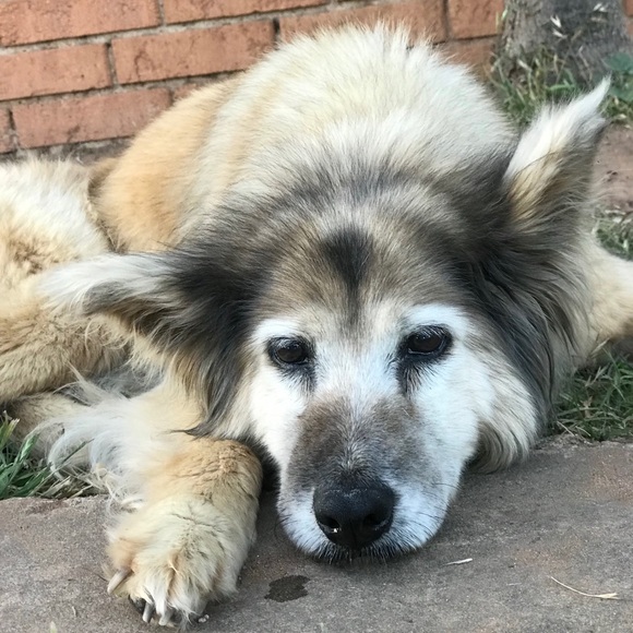 There is a better world ahead! - Picture 3 of 10